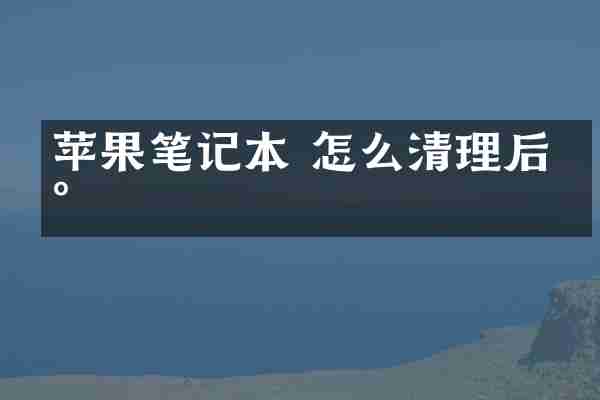 苹果笔记本 怎么清理后台