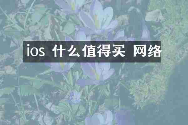 ios 什么值得买 网络