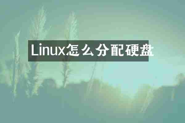 Linux怎么分配硬盘