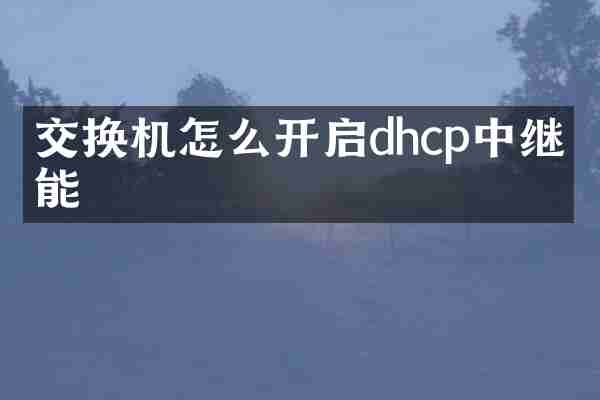 交换机怎么开启dhcp中继功能