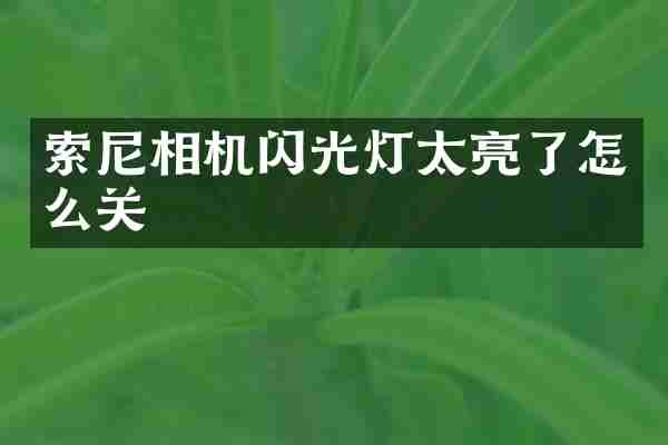 索尼相机闪光灯太亮了怎么关