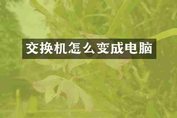 交换机怎么变成电脑