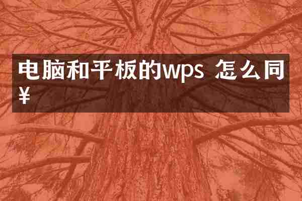 电脑和平板的wps 怎么同步