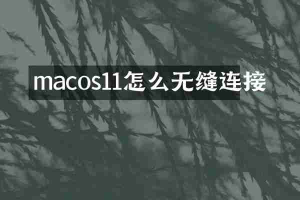 macos11怎么无缝连接