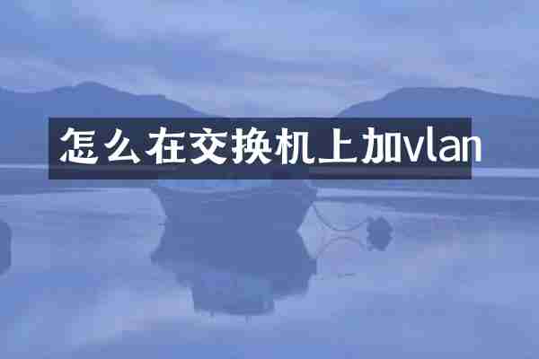 怎么在交换机上加vlan
