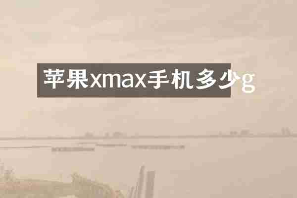 苹果xmax手机多少g