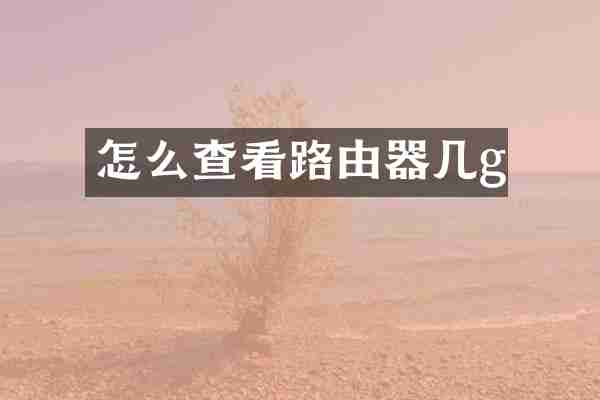 怎么查看路由器几g