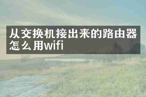 从交换机接出来的路由器怎么用wifi