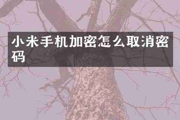 小米手机加密怎么取消密码