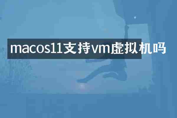 macos11支持vm虚拟机吗