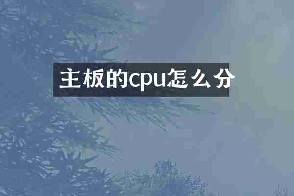 主板的cpu怎么分