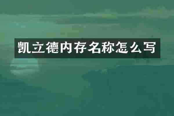 凯立德内存名称怎么写
