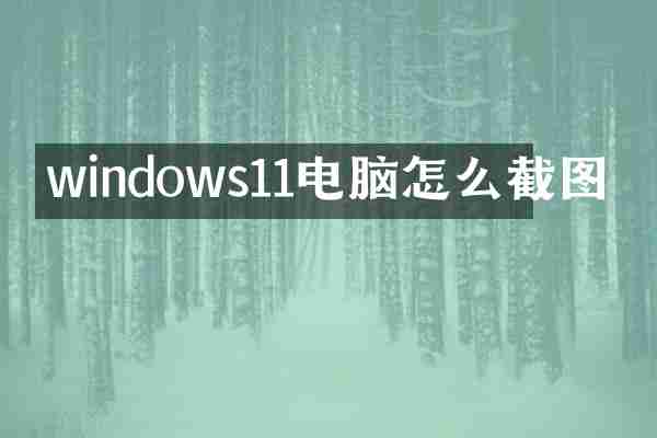 windows11电脑怎么截图
