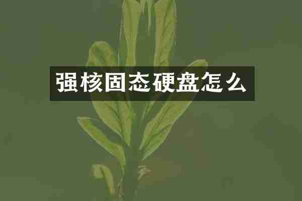 强核固态硬盘怎么