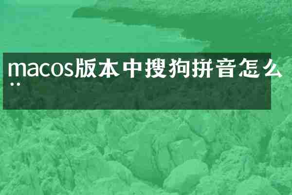 macos版本中搜狗拼音怎么用