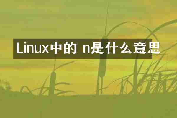 Linux中的 n是什么意思