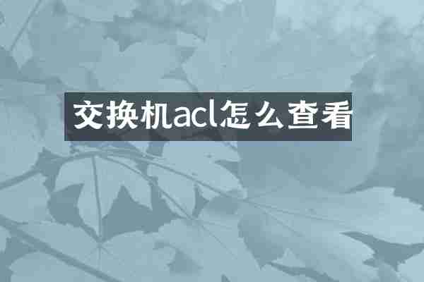 交换机acl怎么查看