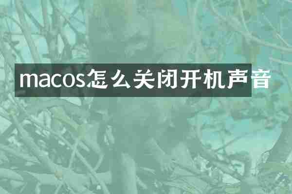 macos怎么关闭开机声音