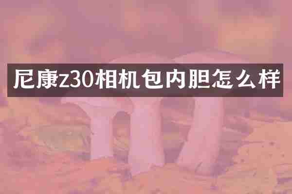 尼康z30相机包内胆怎么样