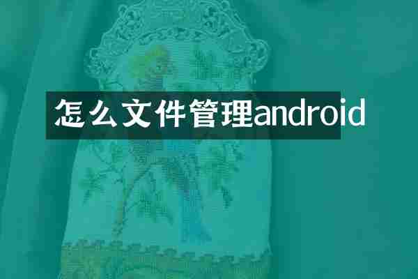 怎么文件管理android