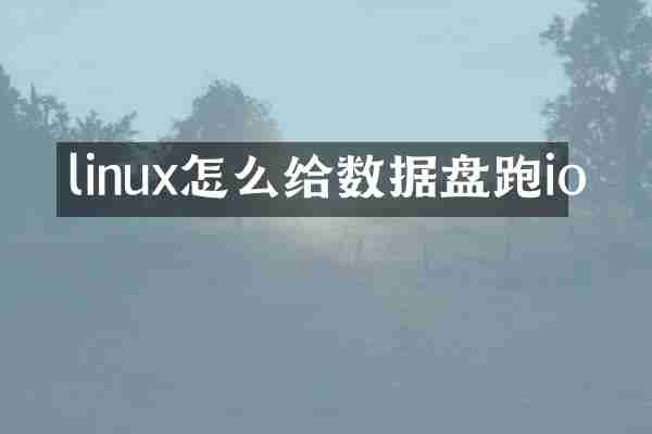 linux怎么给数据盘跑io