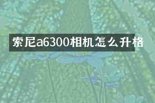 索尼a6300相机怎么升格