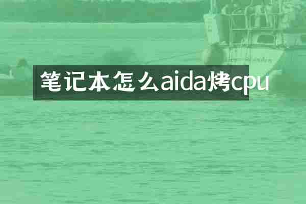 笔记本怎么aida烤cpu