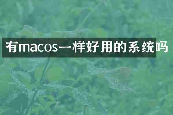 有macos一样好用的系统吗