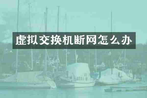 虚拟交换机断网怎么办