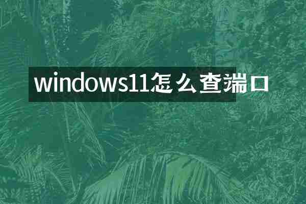 windows11怎么查端口