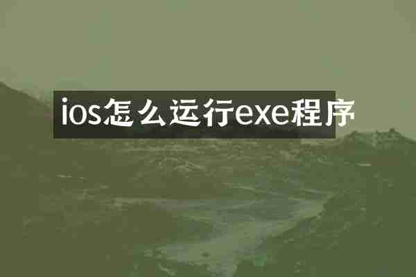 ios怎么运行exe程序