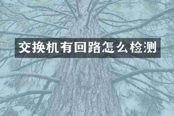 交换机有回路怎么检测