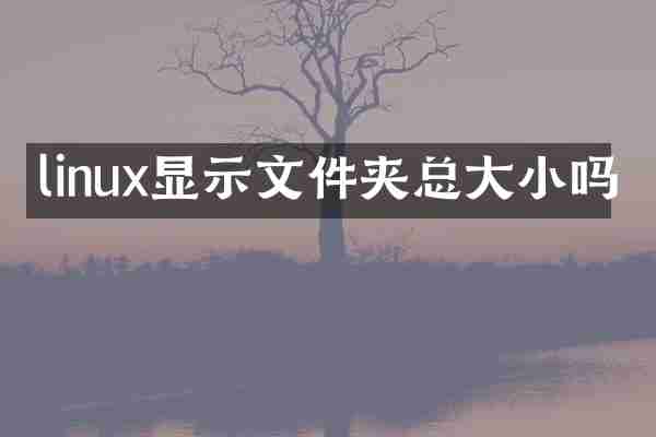linux显示文件夹总大小吗
