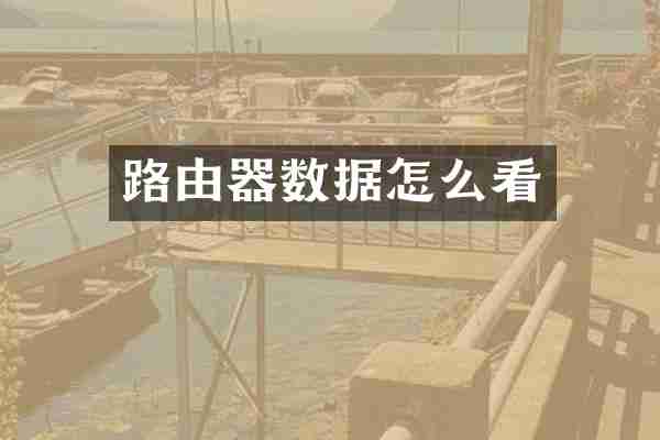 路由器数据怎么看