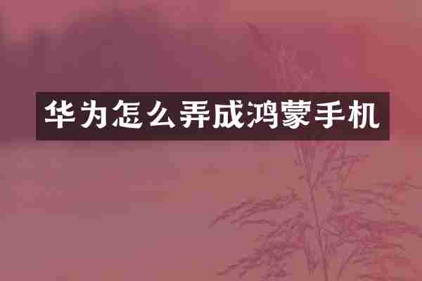 华为怎么弄成鸿蒙手机