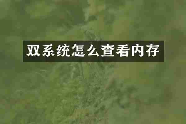 双系统怎么查看内存