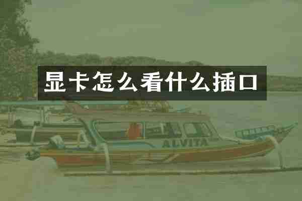 显卡怎么看什么插口