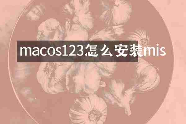 macos123怎么安装mis