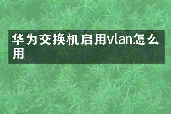 华为交换机启用vlan怎么启用