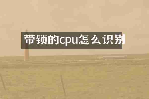 带锁的cpu怎么识别