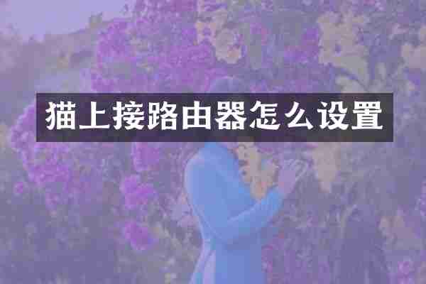 猫上接路由器怎么设置
