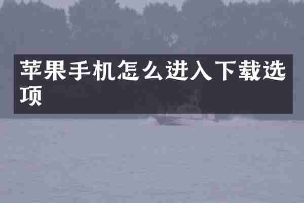 苹果手机怎么进入下载选项