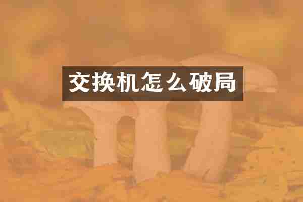 交换机怎么破局