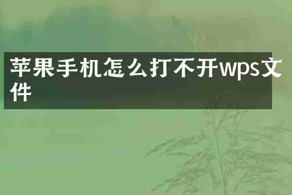苹果手机怎么打不开wps文件