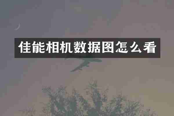 佳能相机数据图怎么看