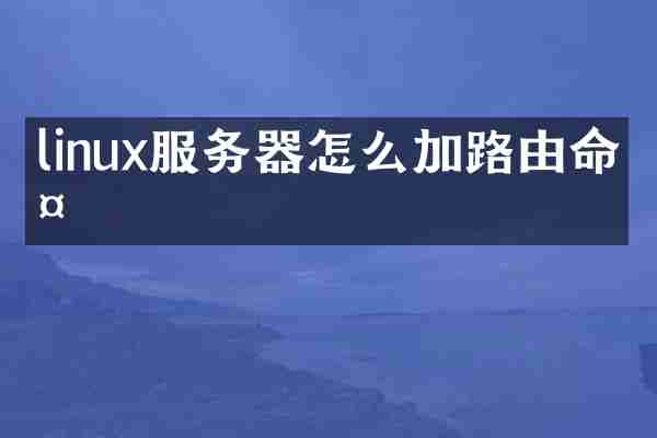 linux服务器怎么加路由命令