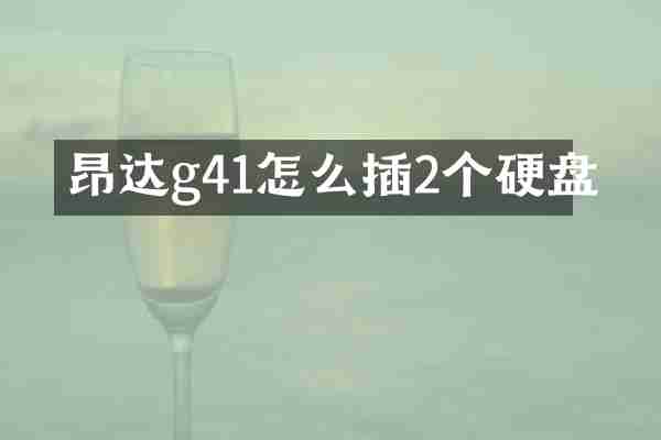 昂达g41怎么插2个硬盘