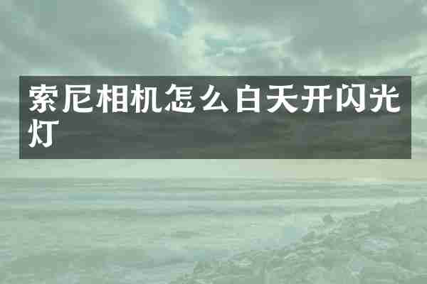 索尼相机怎么白天开闪光灯