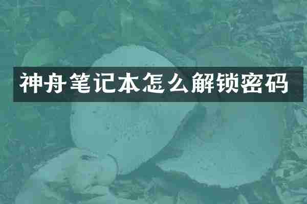 神舟笔记本怎么解锁密码