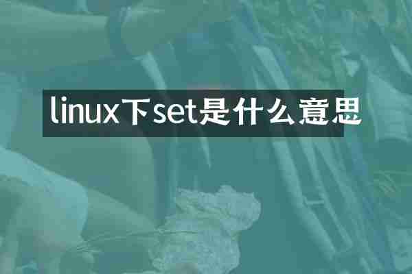 linux下set是什么意思